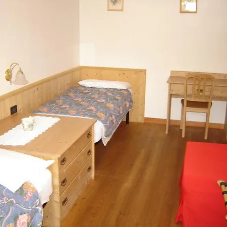 Residenza Domino 3* Selva di Cadore